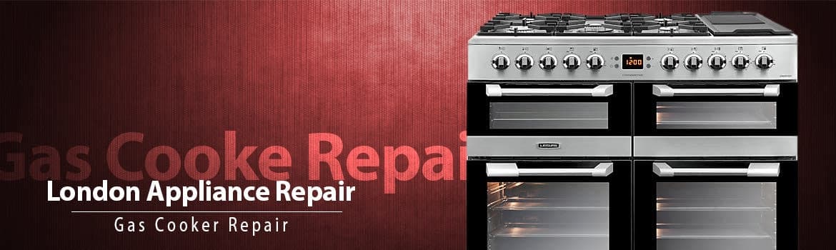 Household appliance service Slide Image