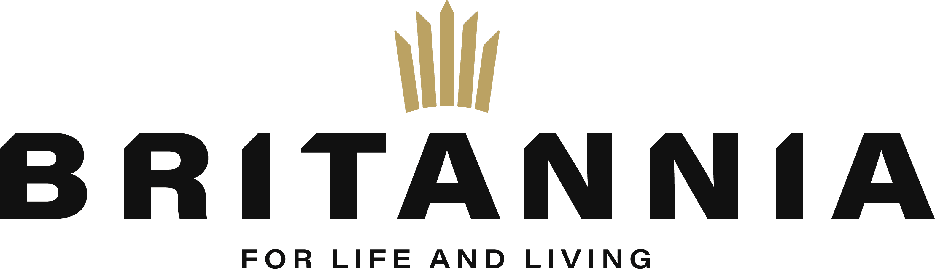 Britannia Appliance Repair in london