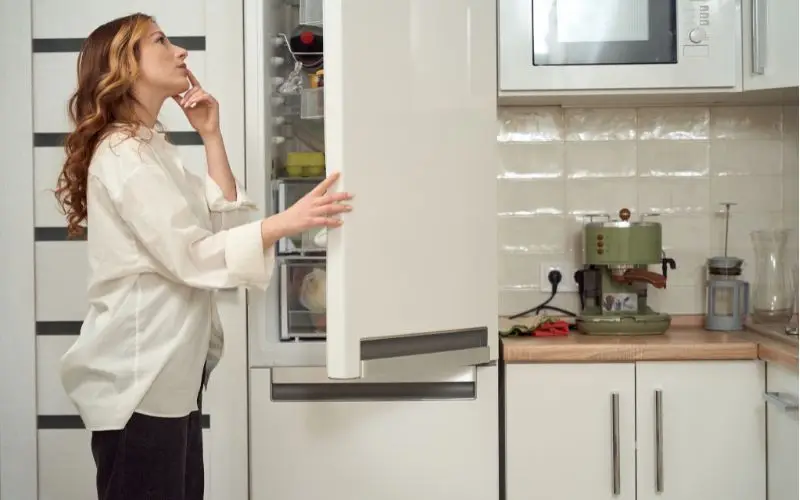 Fridge Making Buzzing/Humming Noise – Normal or Problem?